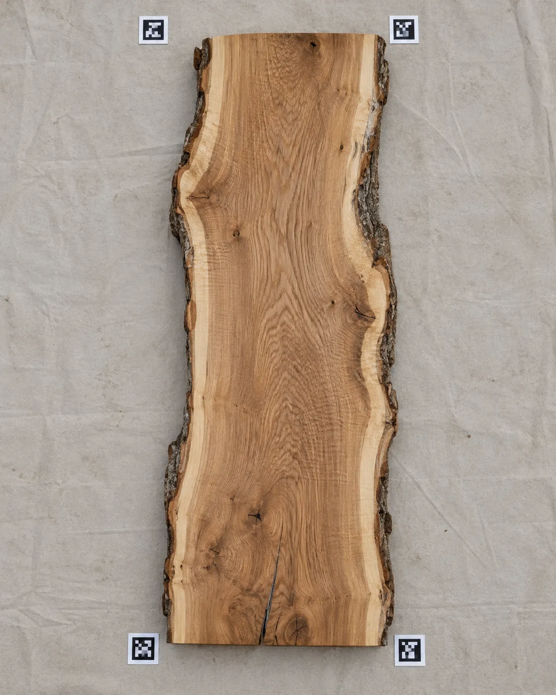 A live-edge oak slab photographed from above, with square reference markers at its corners